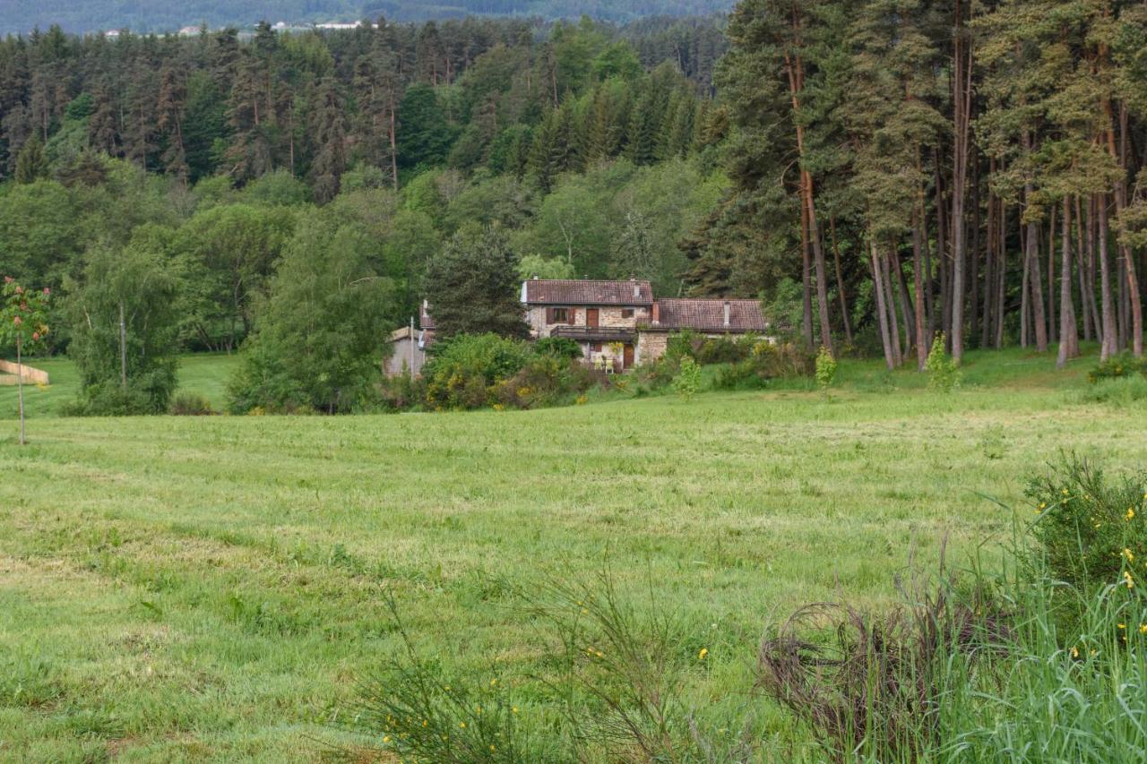 Moulin Des Comtes - Chambre Des Comtes Viverols エクステリア 写真